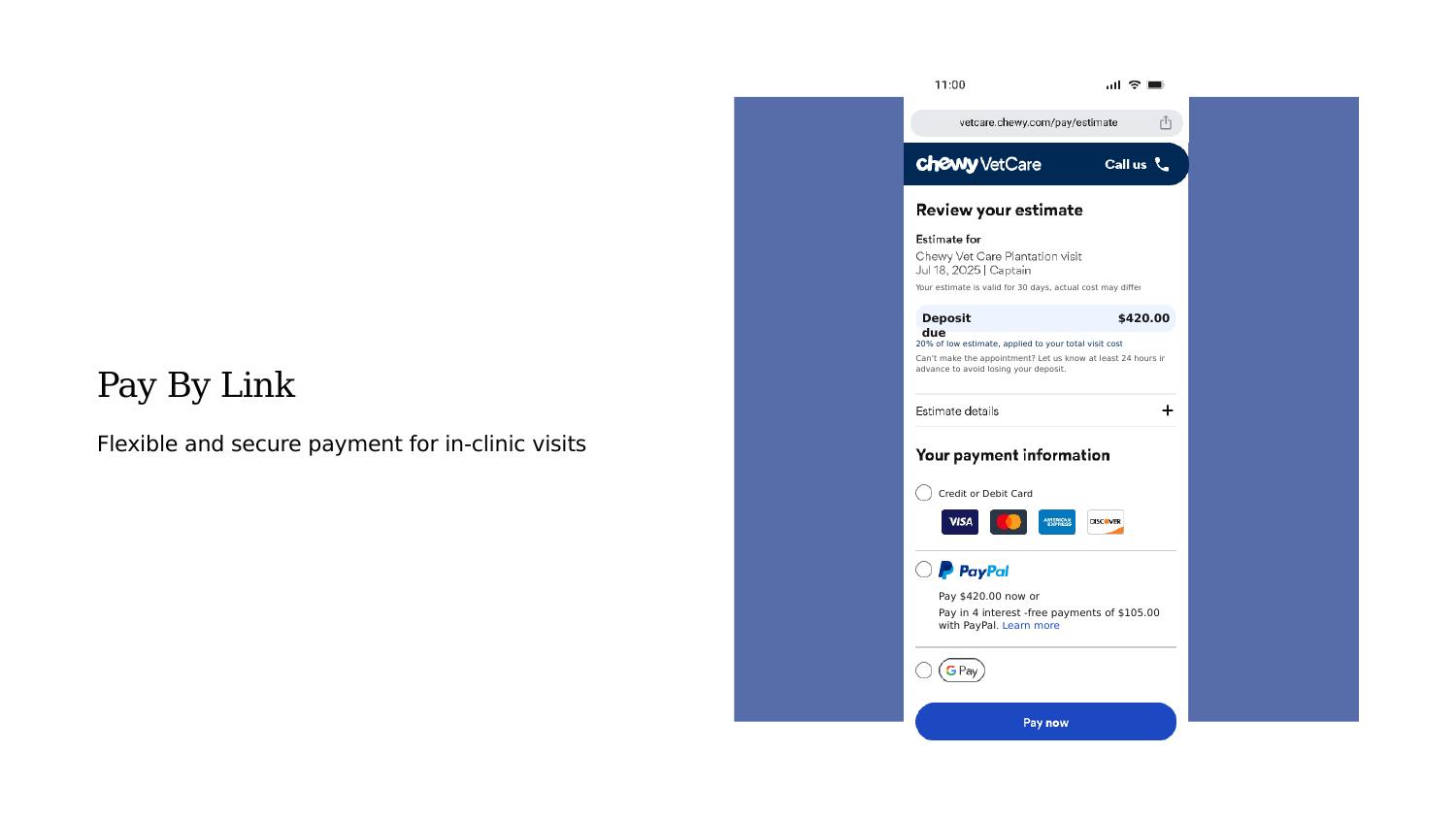 Pay By Link final design